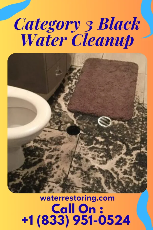 Category 3 Black Water Cleanup in Dalton, PA