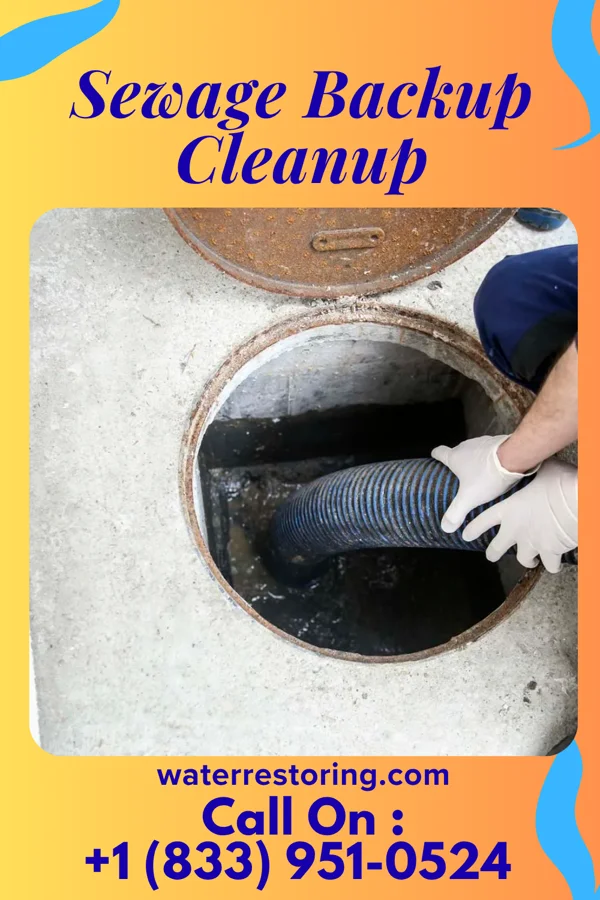 Sewage Backup Cleanup in Dalton, PA